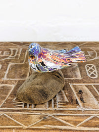 Multicolour Bird On Driftwood