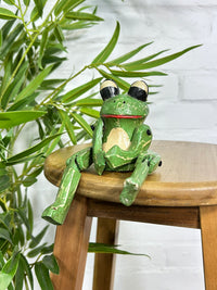 Sitting Frog