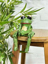 Sitting Frog