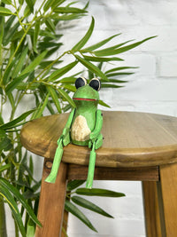 Frog Shelf Sitter
