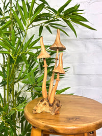 Large Mushrooms on Log