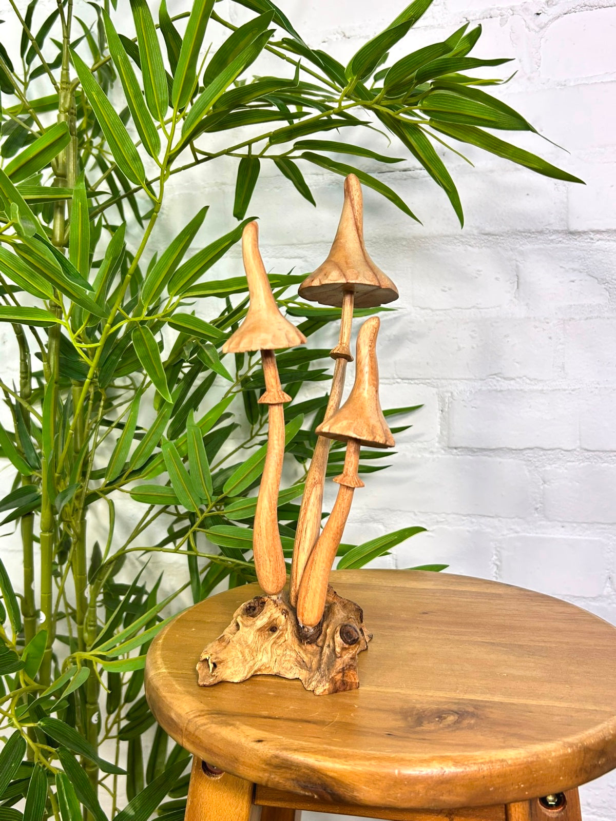 Large Mushrooms on Log