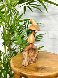 Frog on Mushroom