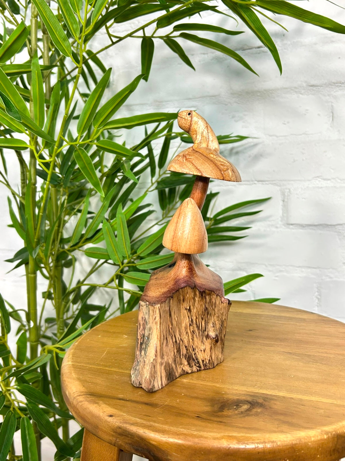 Frog on Mushroom