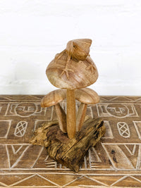 Frog On Mushroom