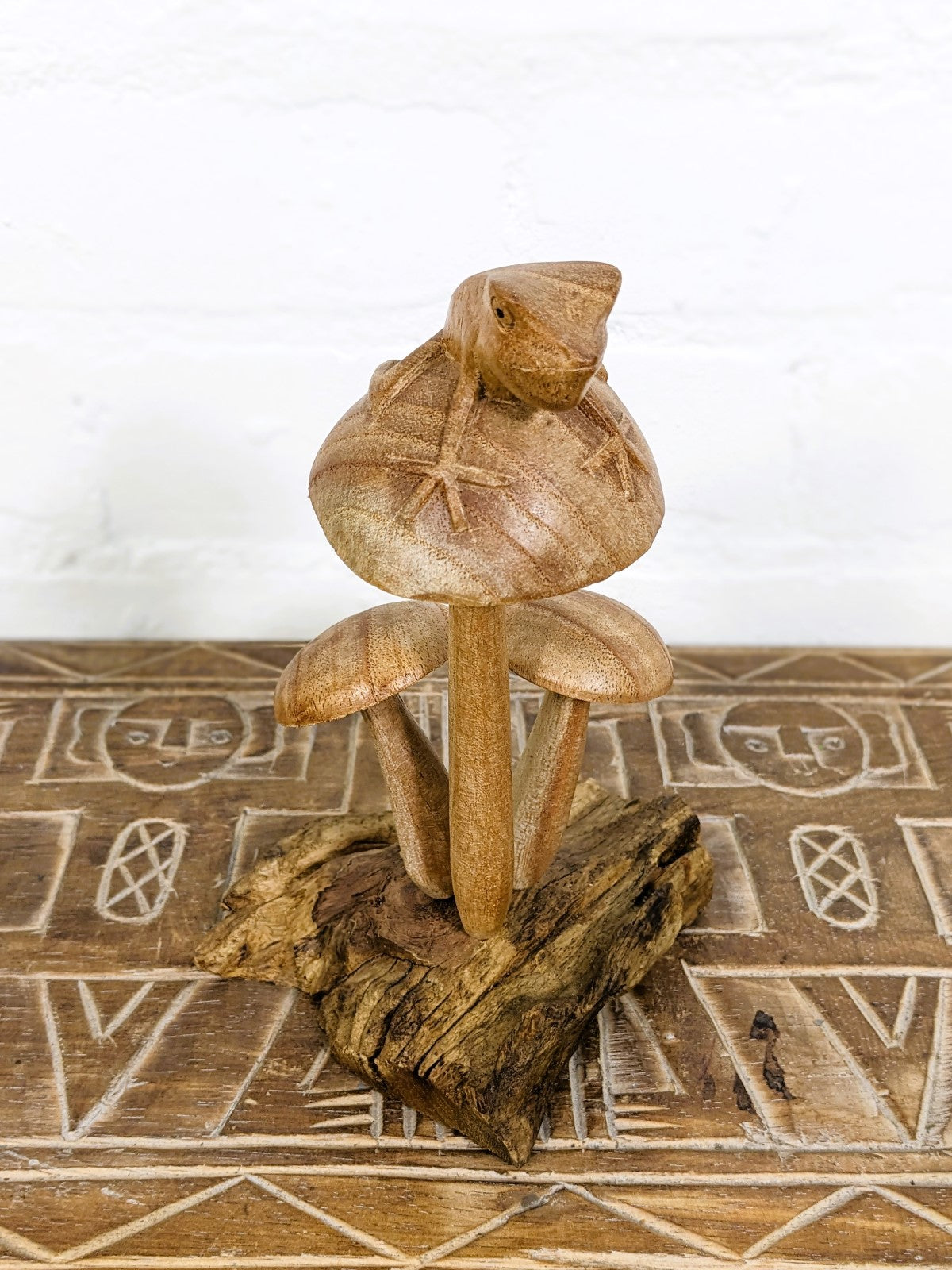 Frog On Mushroom