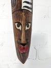 Mask With Zebra & Face