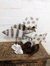 Four White Fish On Driftwood