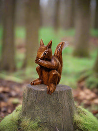 Small Squirrel