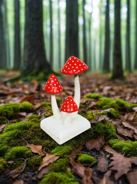 Small Toadstools