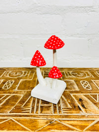 Small Toadstools
