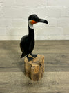 Black Bird on Log
