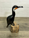Black Bird on Log
