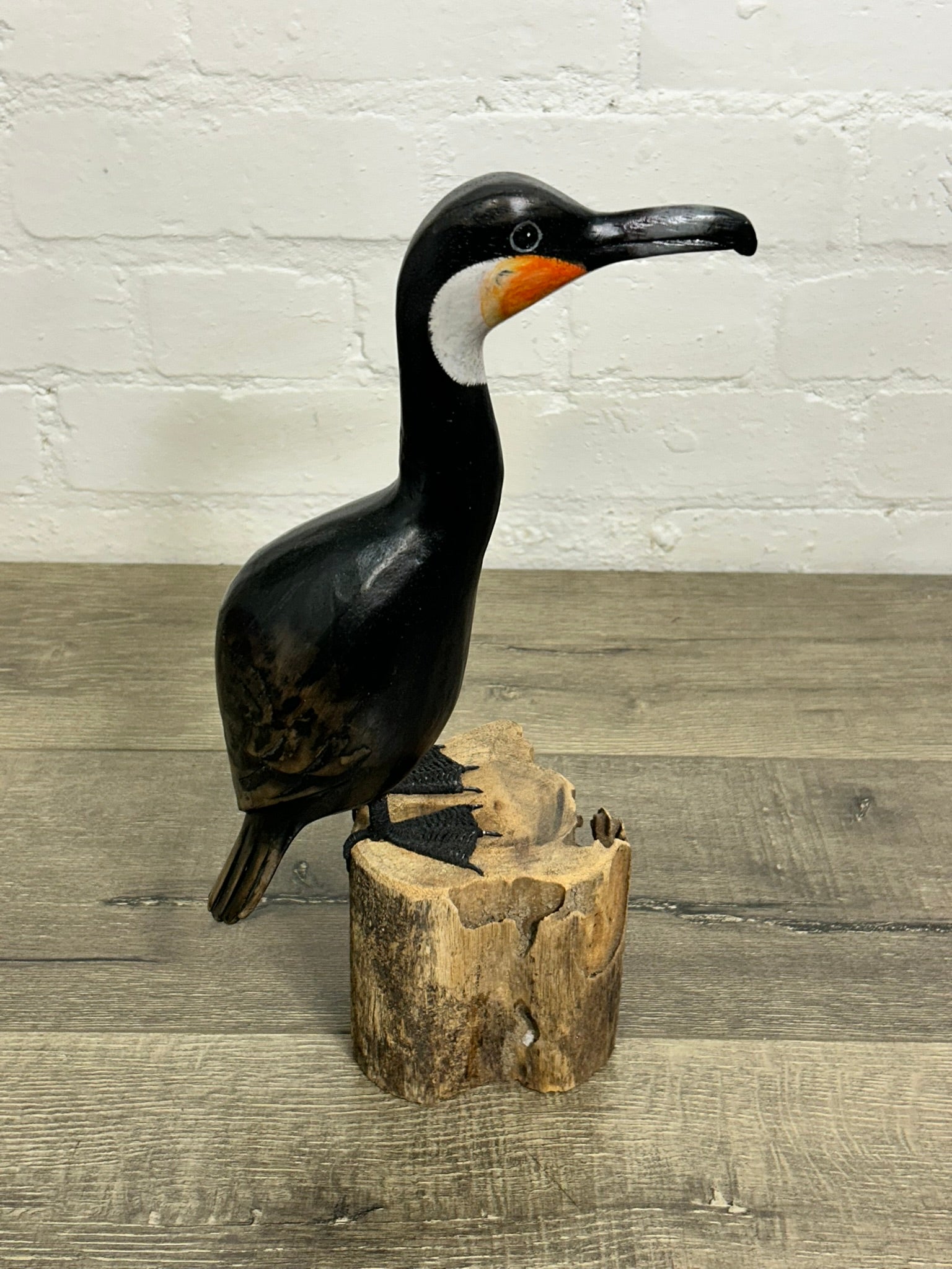 Black Bird on Log