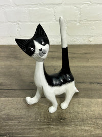 Standing Black & White Cat