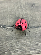 Nodding Head Ladybird