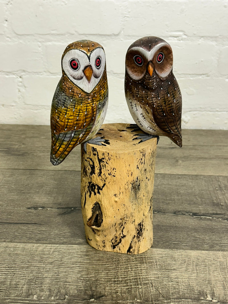 Two Owls on A Log
