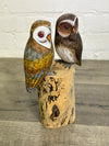Two Owls on A Log