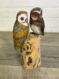Two Owls on A Log