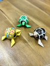 Nodding Head Turtle