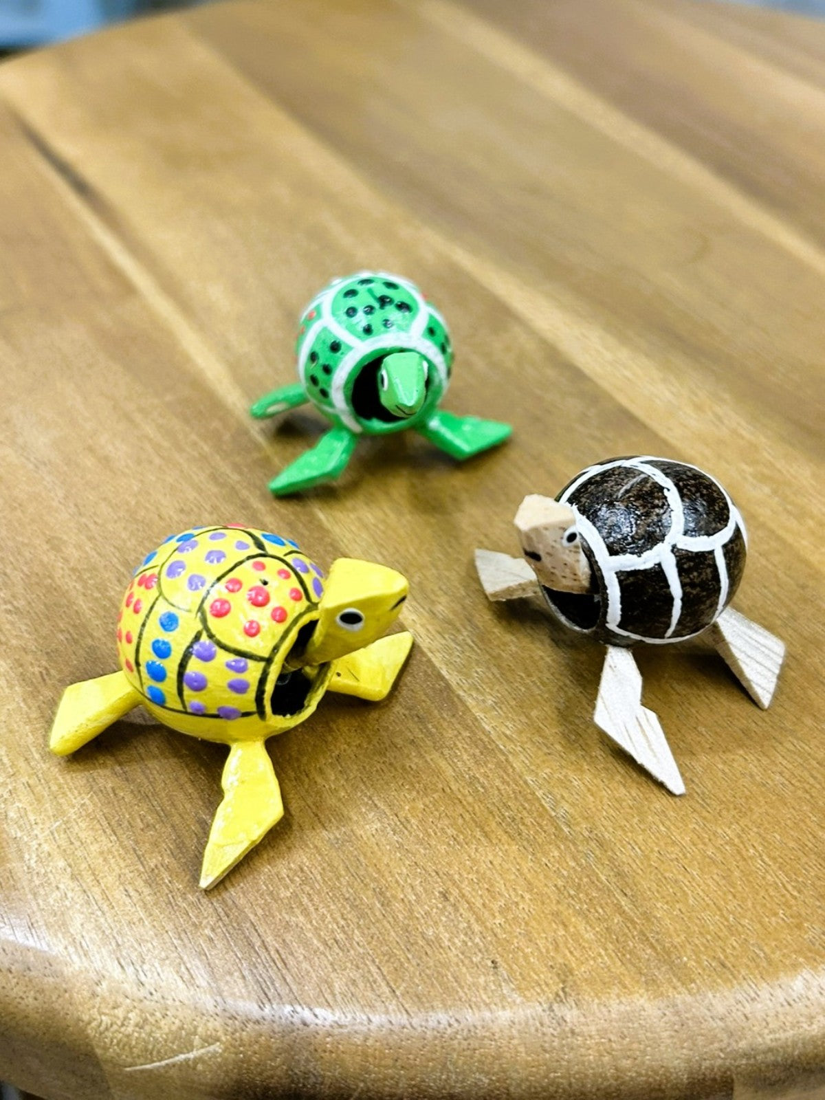 Nodding Head Turtle