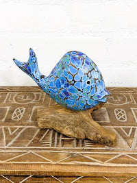 Fish On Driftwood