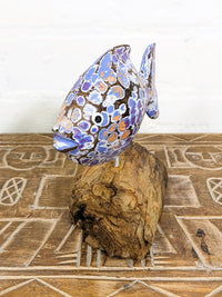 Angel Fish On Driftwood
