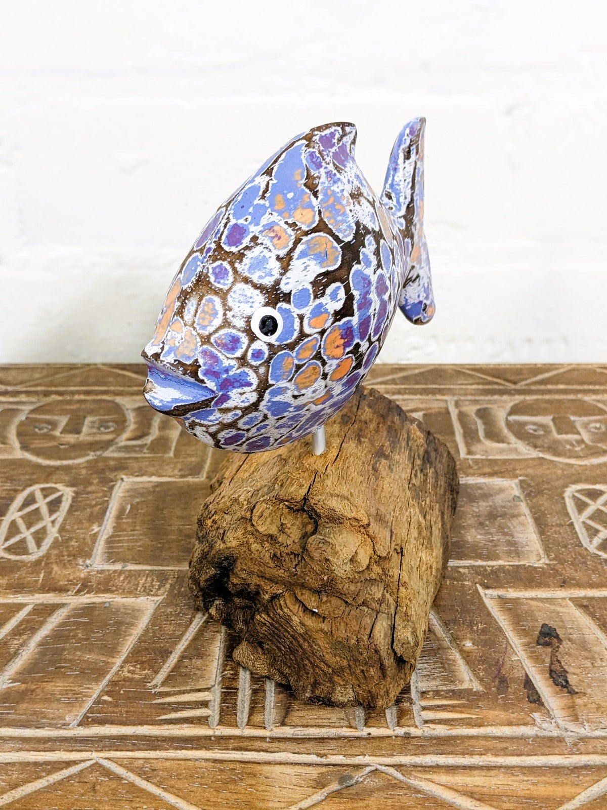 Angel Fish On Driftwood