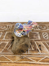 Multicolour Bird On Driftwood