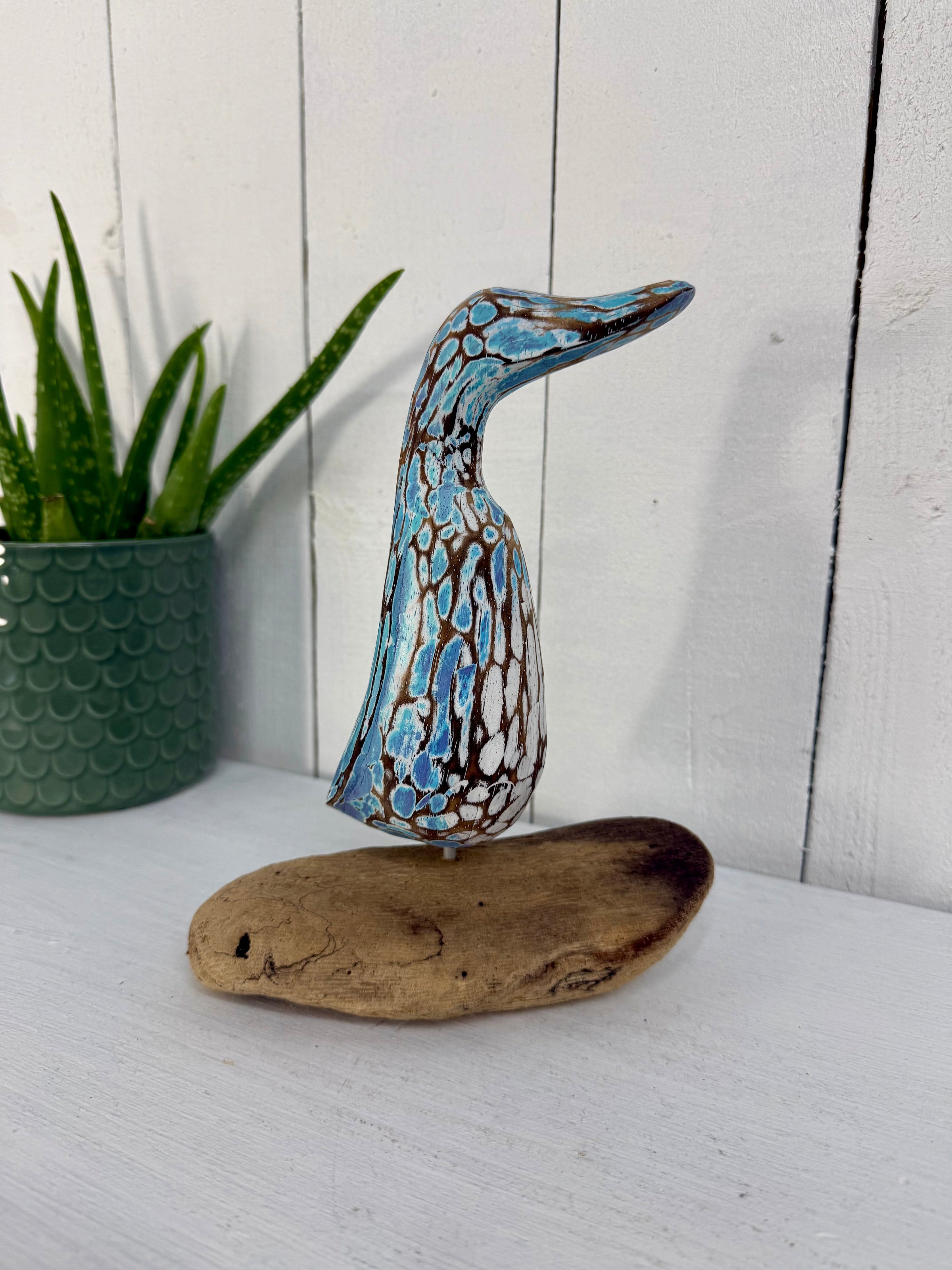 Blue Duck on Driftwood
