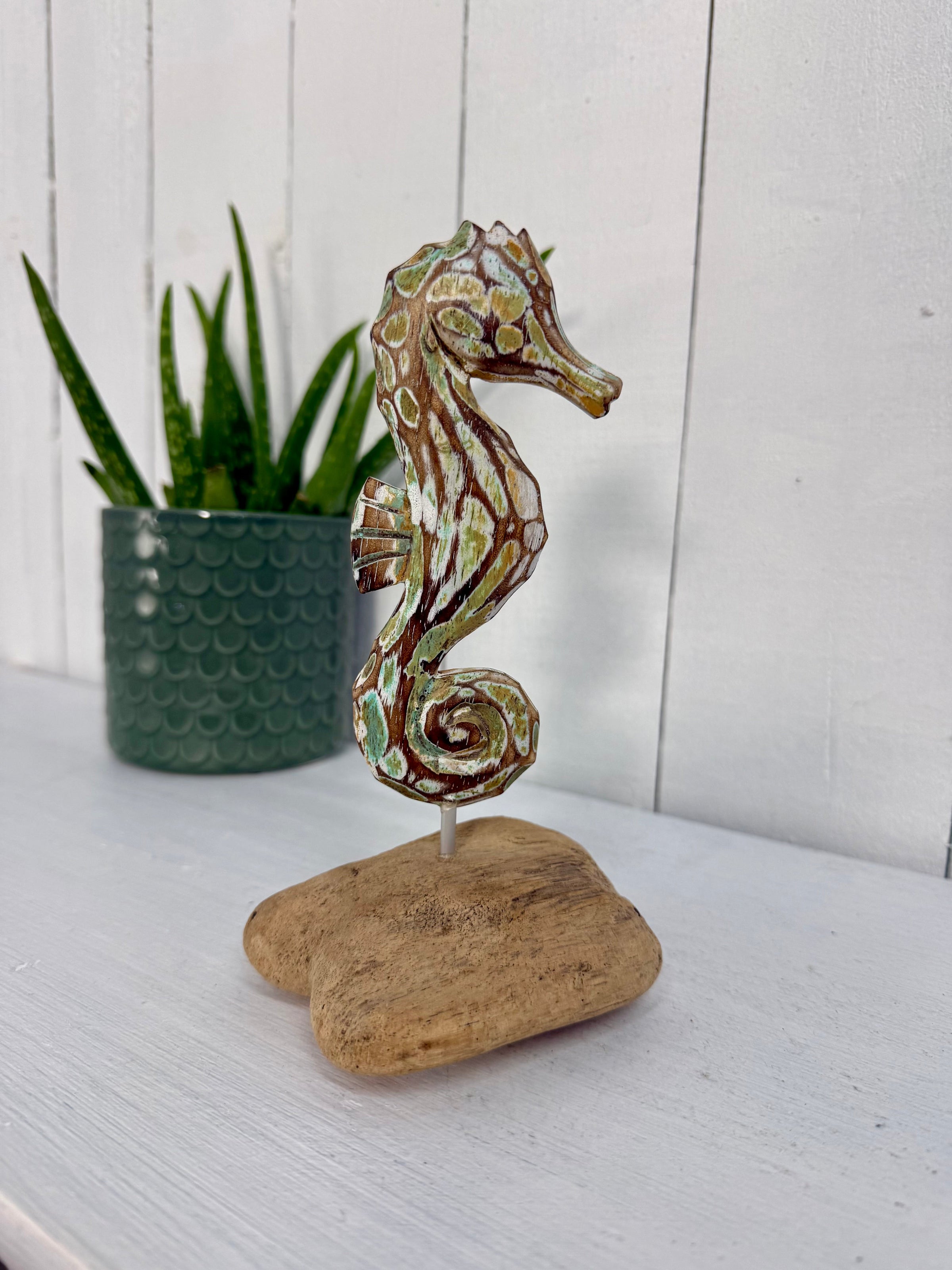 Single Seahorse on Driftwood