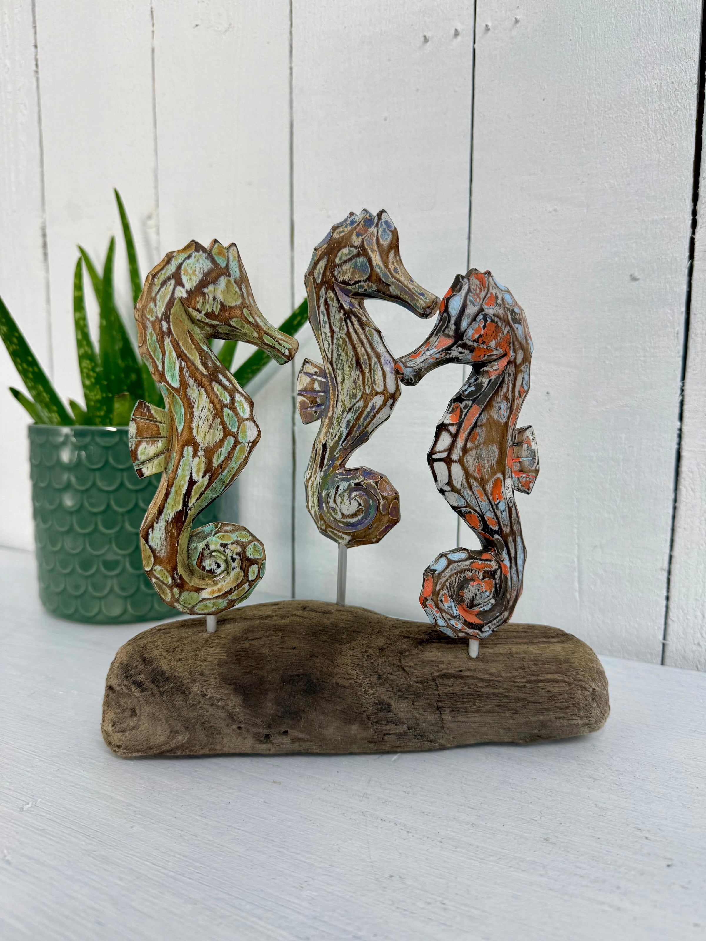 Three Seahorses on Driftwood