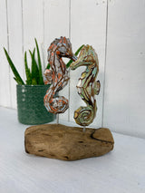 Two Seahorses on Driftwood