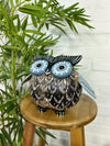 Coconut Owl