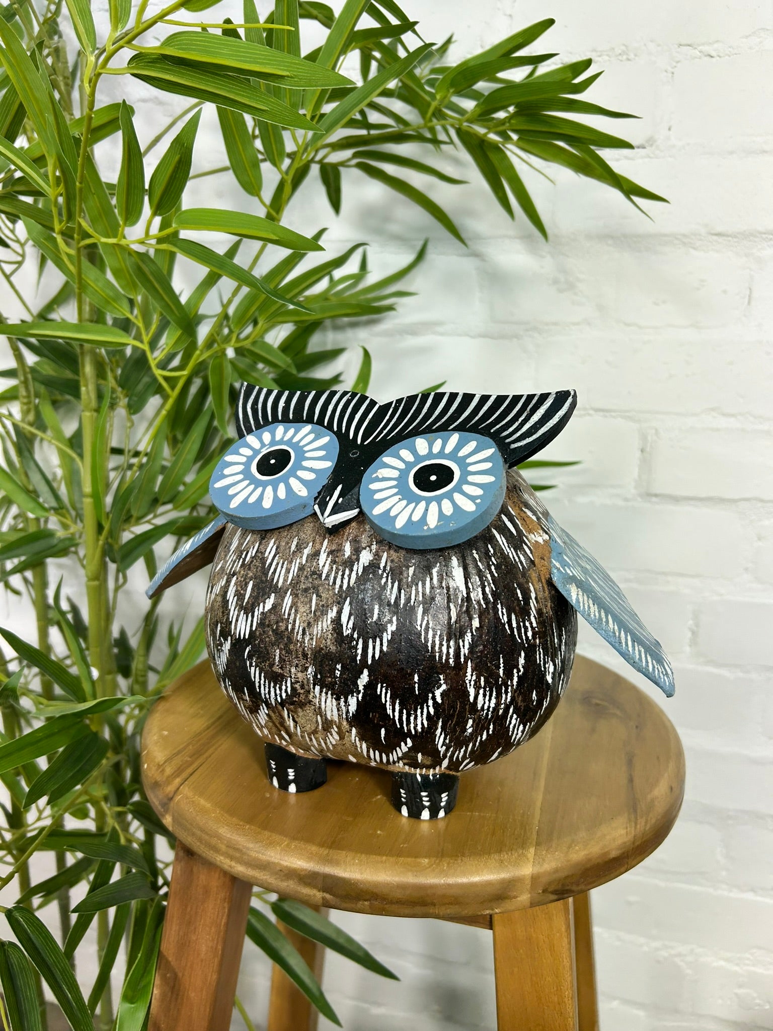 Coconut Owl