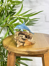 Dolphin on Wood