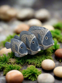 Set 3 Three Fish