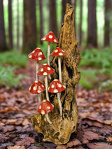 Toadstools On Driftwood