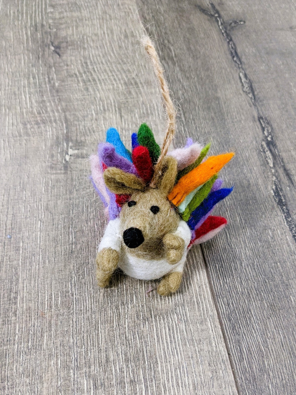 Felt Hanging Rainbow Hedgehog