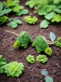 Felt Tortoise
