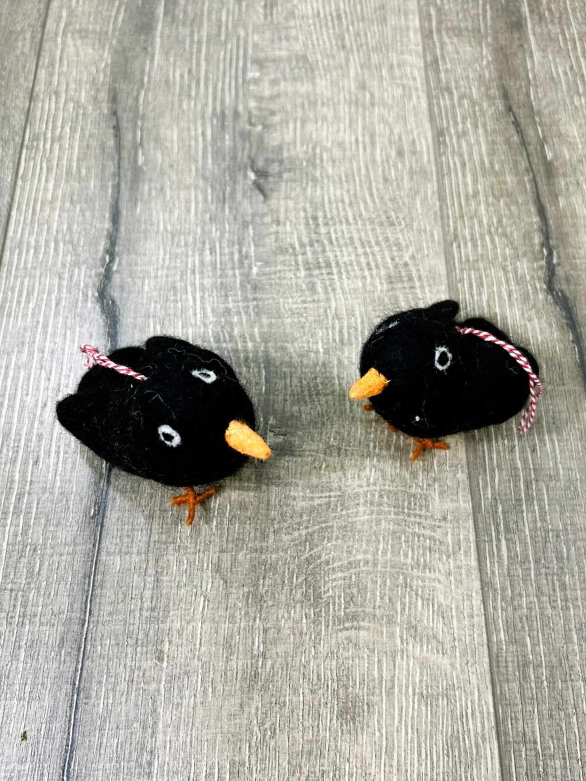 Felt Blackbird