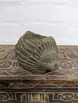 Concrete Hedgehog Planter