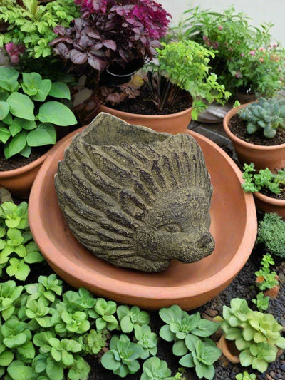 Concrete Hedgehog Planter