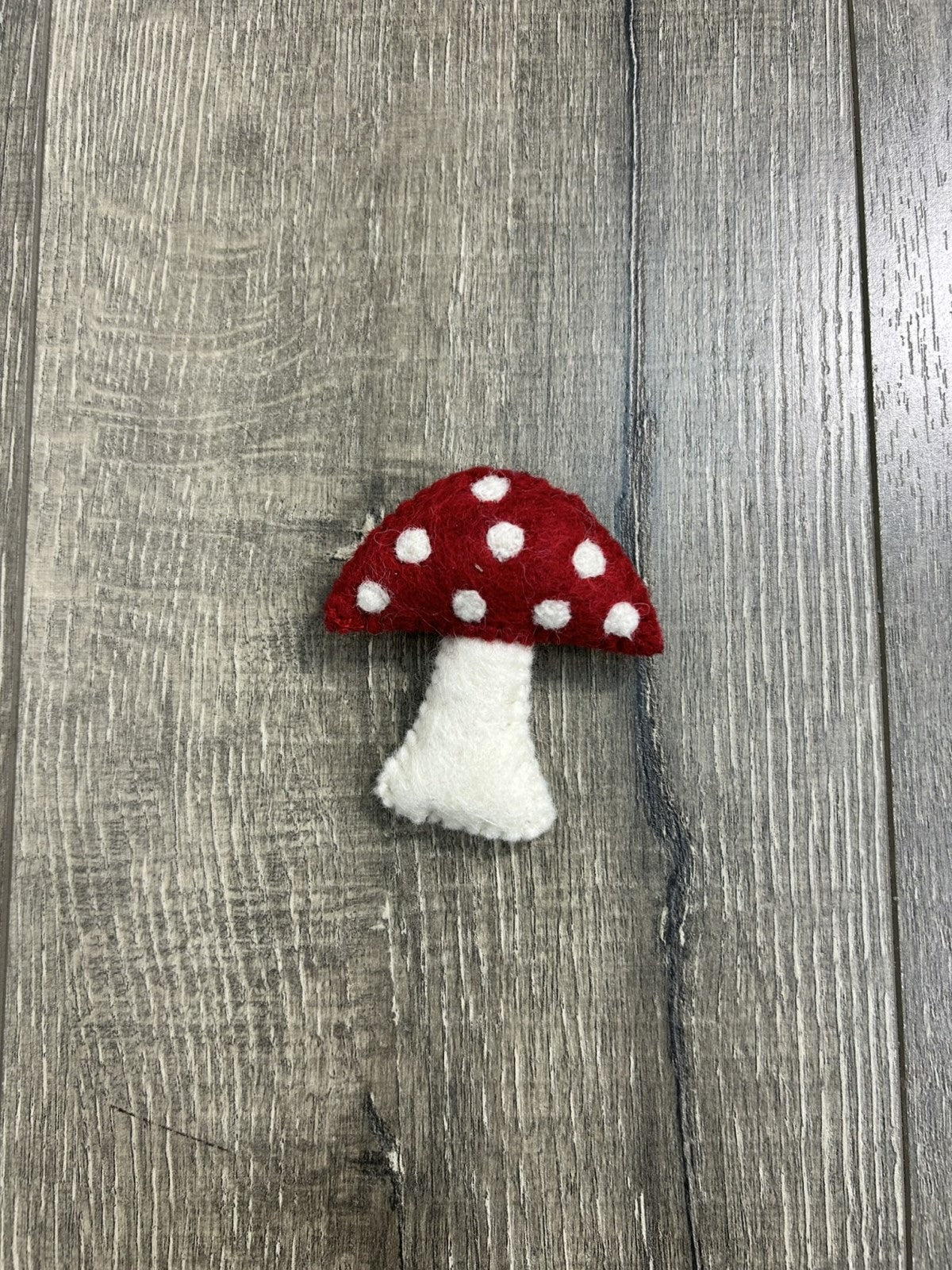 Felt Mushroom Magnet