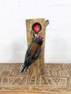 Woodpeckers On Log