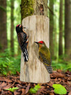 Woodpeckers On Log Wall Hanger