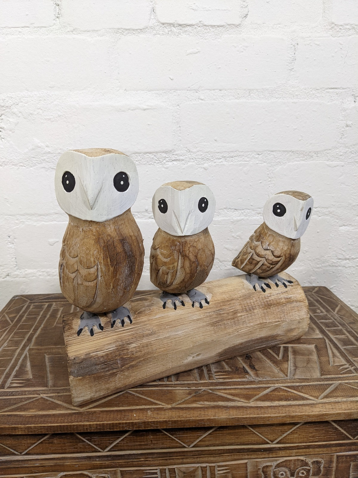 Three Brown Owls On Log