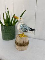 Seagull on Log