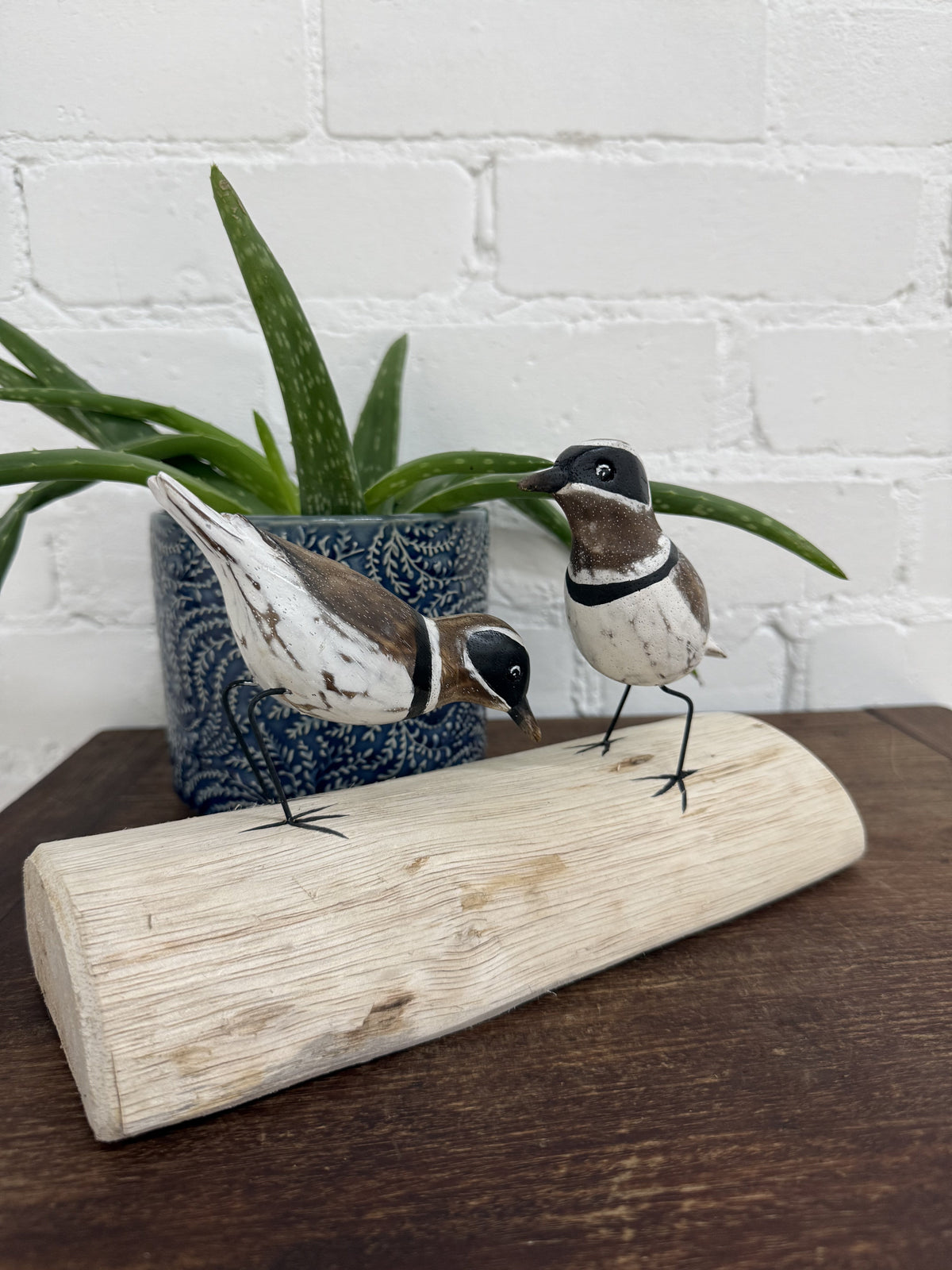Two Birds on Log
