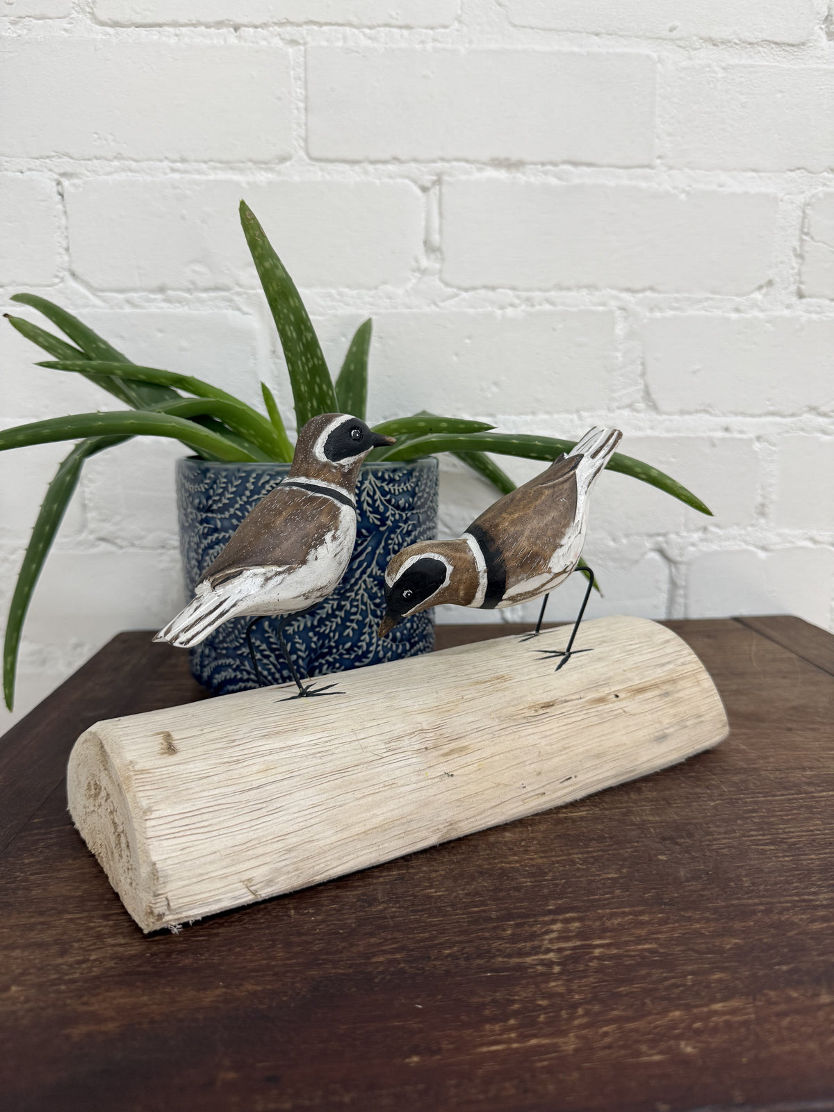 Two Birds on Log